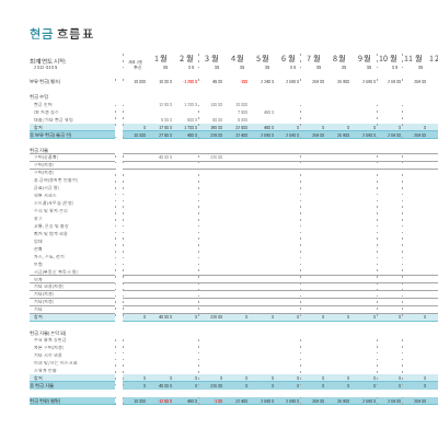 현금 흐름 보고서